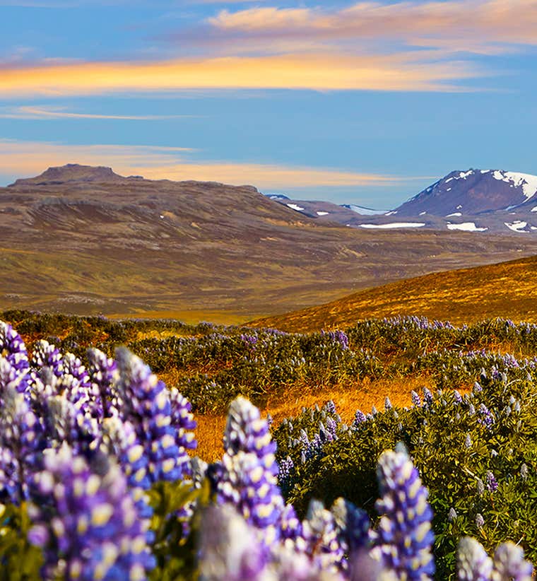 Hotels & Accommodation in Hellissandur
