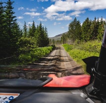 Kjør offroad og nyt den fantastiske naturen på en spennende 2-timers buggy-tur i nærheten av Geysir.