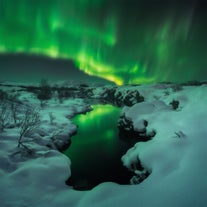 Betaalbare Noorderlicht-excursie met Audiogids & Transfer vanuit Reykjavik