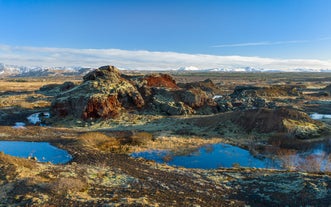 Best Beoordeelde Paardrijtocht met Optioneel Ophalen vanuit Reykjavik